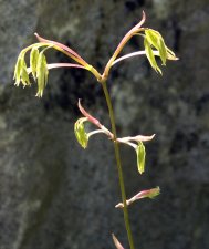 DSC_0016.jpg