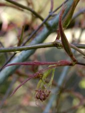 DSC_0034.jpg