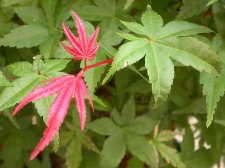 DSCN1714.jpg