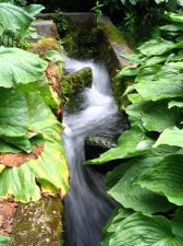 water.jpg