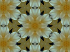 Cliv02b.jpg