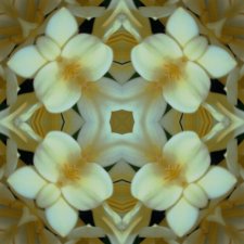 Cliv03b.jpg