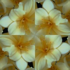 Cliv03c.jpg