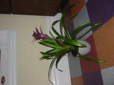 IMG_2569.JPG