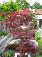 IMG_0061.jpg