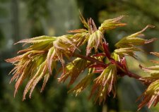 DSC_0047.jpg