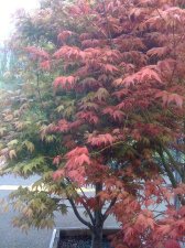 IMG_0323.jpg