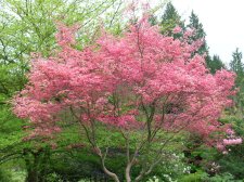 DSCN3828.JPG
