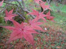 DSCN3213.jpg