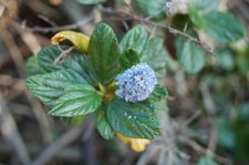 DSC_0151.JPG