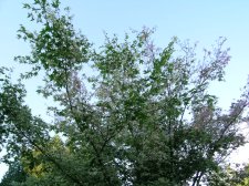 DSCN4704.JPG