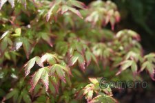 IMG_7443.jpg