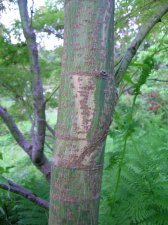 DSCN5378.JPG