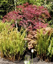 DSC_0007.jpg