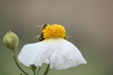 IMG_3269.jpg