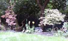 DSC_0026.jpg