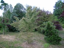 DSCN5802.JPG
