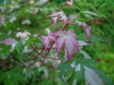 DSCN5827.JPG