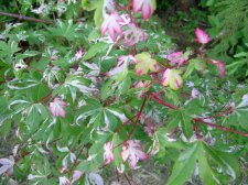 DSCN5830.JPG
