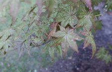 DSC_0006.jpg