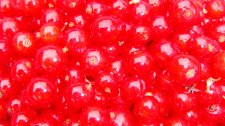 DSC02567.jpg
