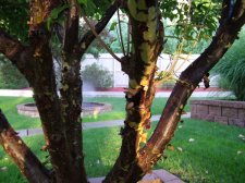 DSCF6659.jpg