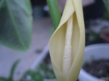 aug 7-09 017.jpg