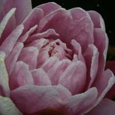 img_0000434.JPG