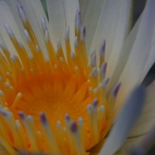 img_0000464.JPG