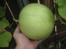 aug 18-09 013.jpg