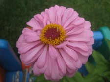 aug 18-09 006.jpg