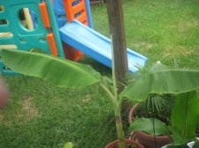 aug 18-09 008.jpg