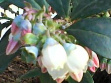 DSC00011.JPG