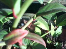 DSC00009.JPG