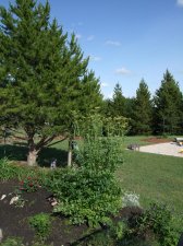 DSCF3438.jpg