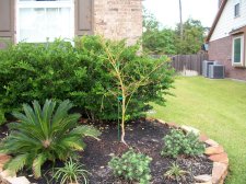 September 2009 050.jpg