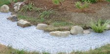pond.jpg