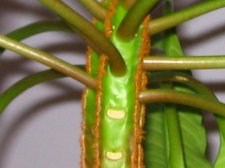 IMG_0012.JPG