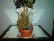 Cactus and an angel 2005.JPG