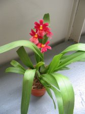 IMG_0003.JPG