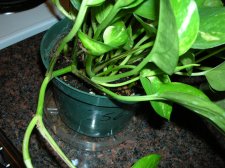 DSCN1312.JPG