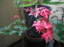 07.06.05.01.jpg