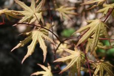 IMG_8179.jpg