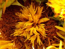 09_SEP30thSUNflowersAUTOMN_s_014.jpg