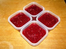 09_OCT11thTHANKSgivingSALMON_s_083.jpg