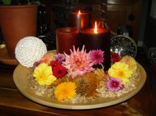 09_OCT11thTHANKSgivingSALMON_s_132.jpg