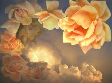 1024 x 768 golden rosy sky_500.jpg