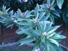 420125242a05.jpg