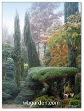 wbgarden autumn 31m.JPG