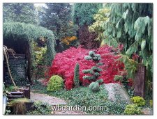 wbgarden autumn 2.JPG